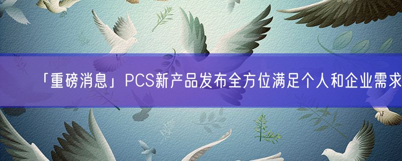 <strong>「重磅消息」PCS新产品发布全方位满足个人和企业需求</strong>